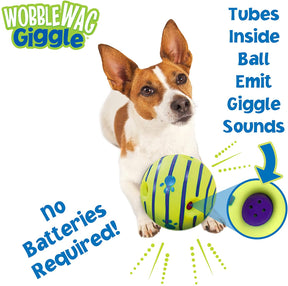 Glow Ball Dog Toy