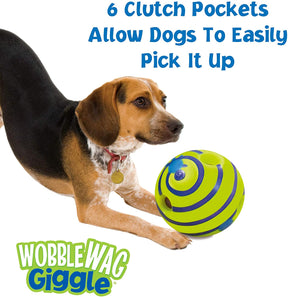 Glow Ball Dog Toy