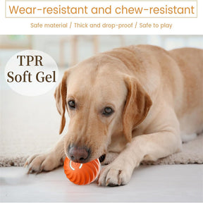 Smart Dog Rolling Ball Toy